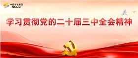 学习贯彻党的二十届三中全会心灵